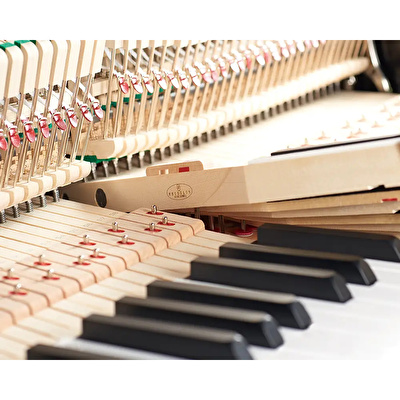 SCHIMMEL FRIDOLIN F 123 Tradition Parlak Beyaz 123 CM Duvar Piyanosu